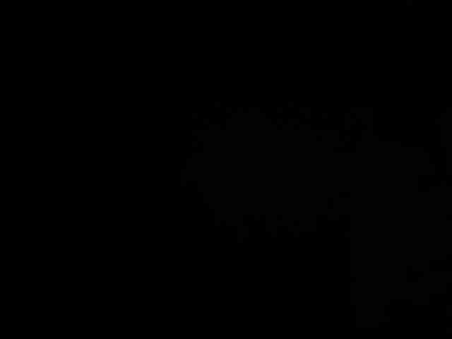 lafleure webcam