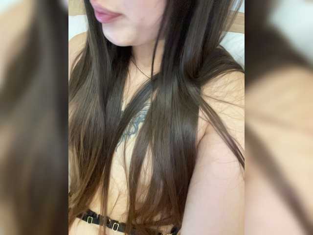 PrinceSS-Q