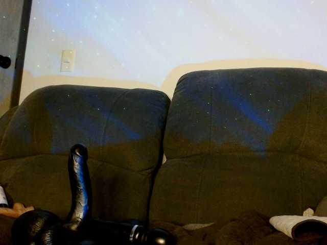 StarCat-1