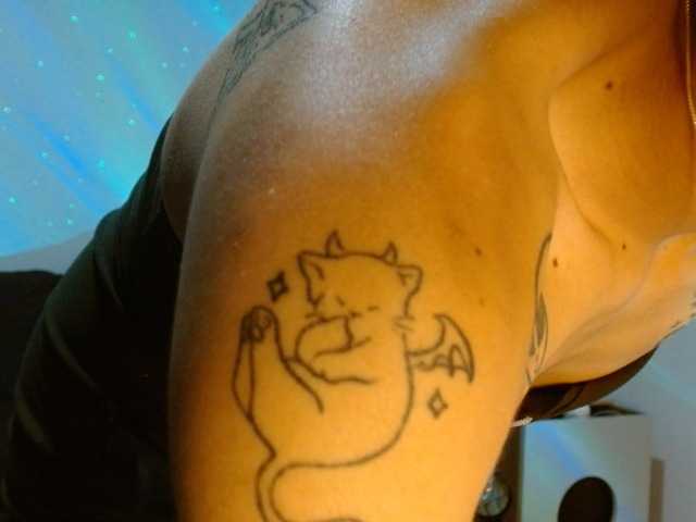 StarCat-1