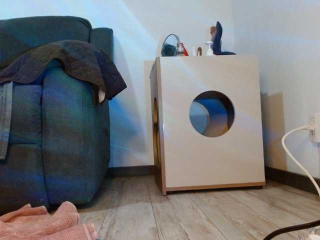 StarCat-1 live cam on BongaCams