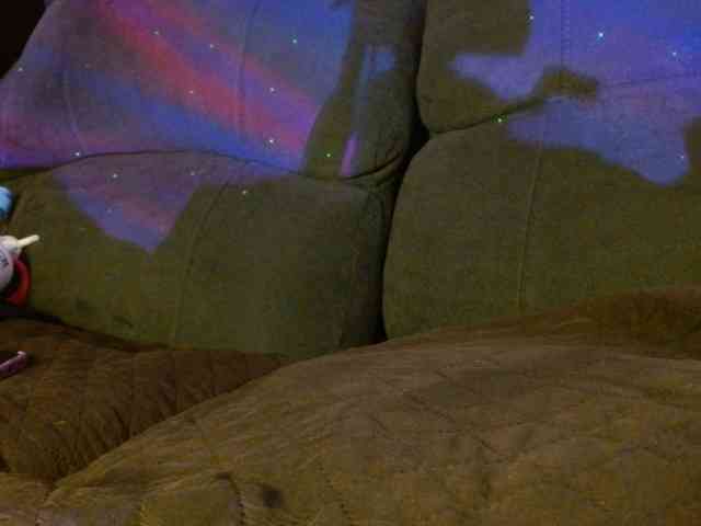 StarCat-1