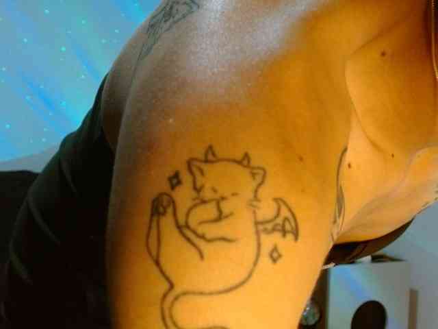 StarCat-1