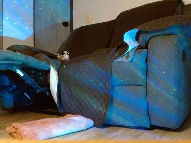StarCat-1