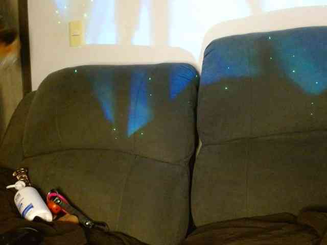 StarCat-1