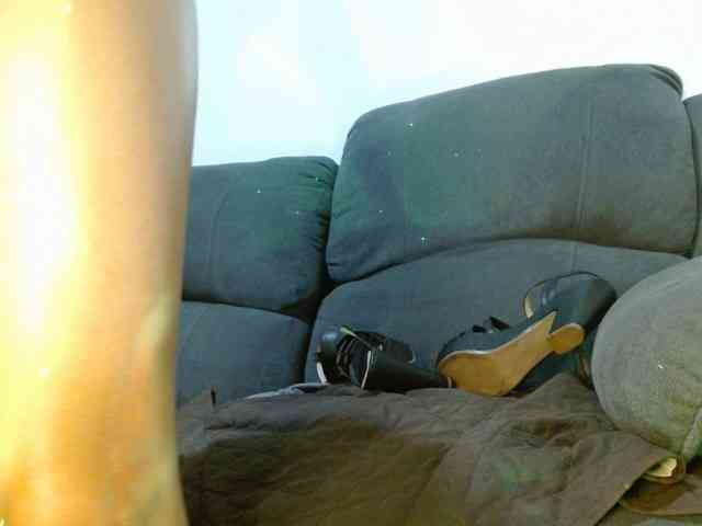 StarCat-1 StarCat-1