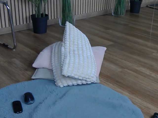LolaEverly live cam on BongaCams