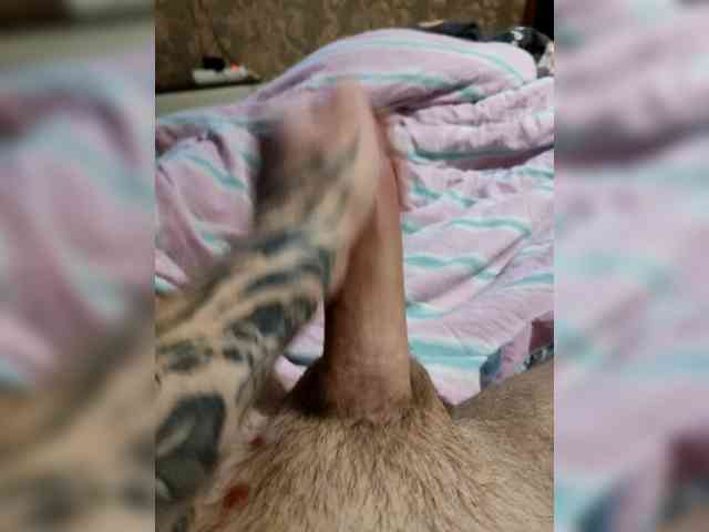 Naughtyboii