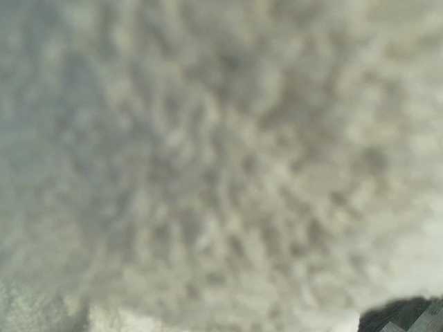 Bellawhite69