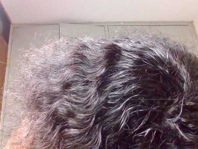 Wildebony1