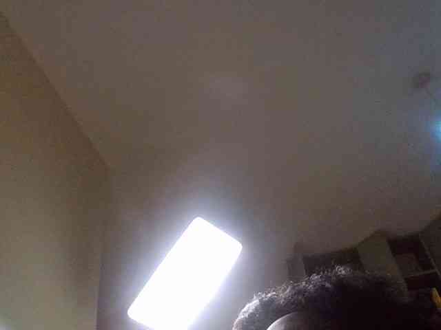 Wildebony1 webcam