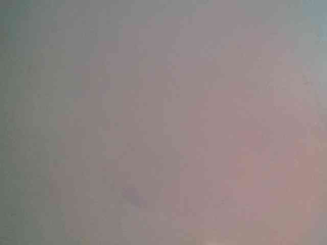 Wildebony1
