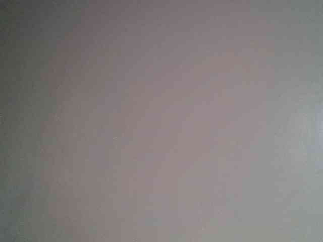 porn chatroom Wildebony1
