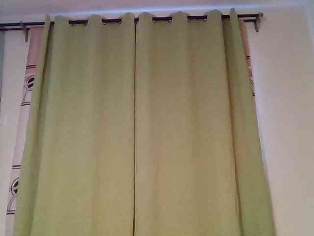 Wildebony1 webcam