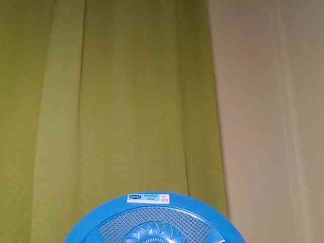 Wildebony1 webcam
