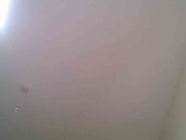 Wildebony1 webcam