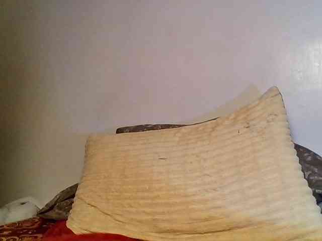 Wildebony1 webcam