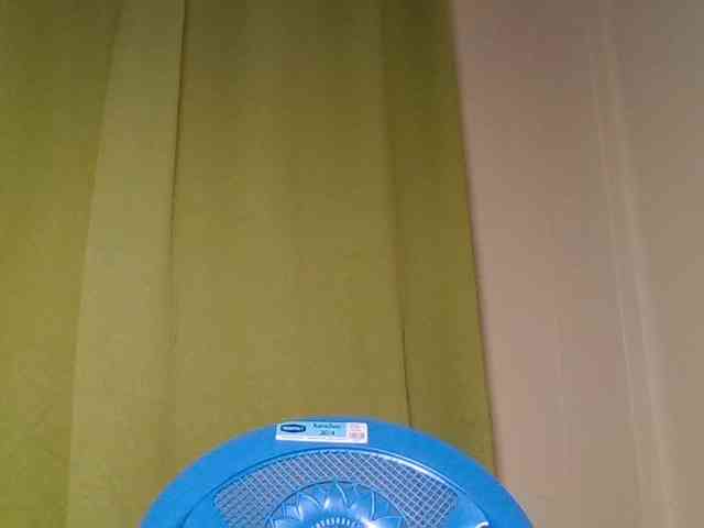 Wildebony1 webcam