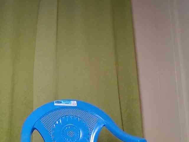 Wildebony1 webcam