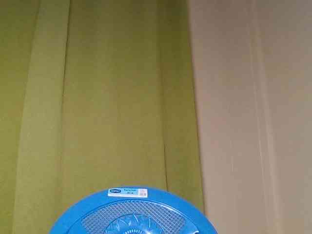 Wildebony1 webcam