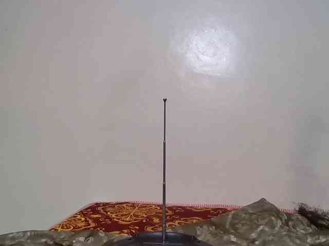 Wildebony1 webcam