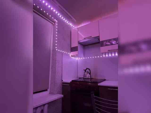 DavsegDa0 webcam
