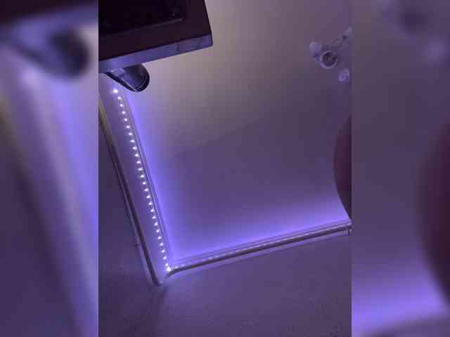 Vasilisasss webcam