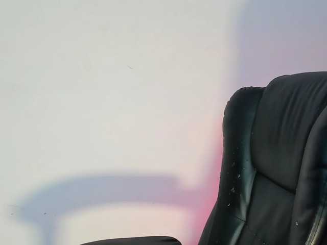 bellahabib live cam on BongaCams