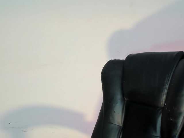 bellahadid live cam preview