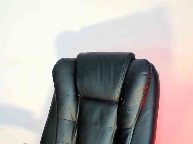 bellahabib webcam