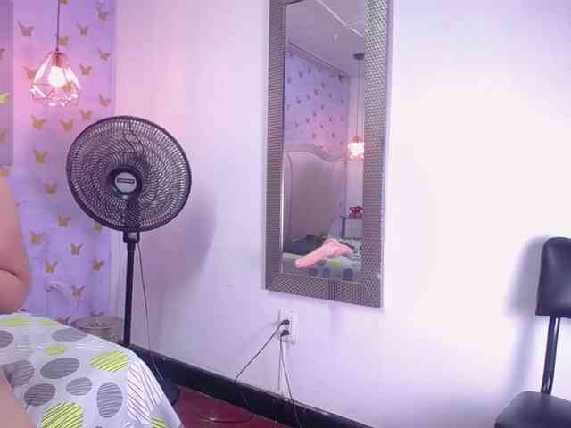 laineystone webcam