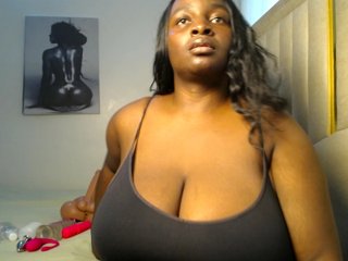 Dovecaren's Live Webcam