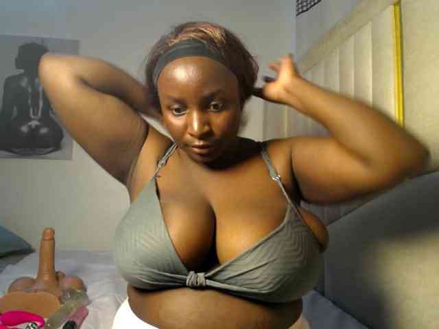 Dovecaren webcam