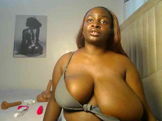 Dovecaren webcam