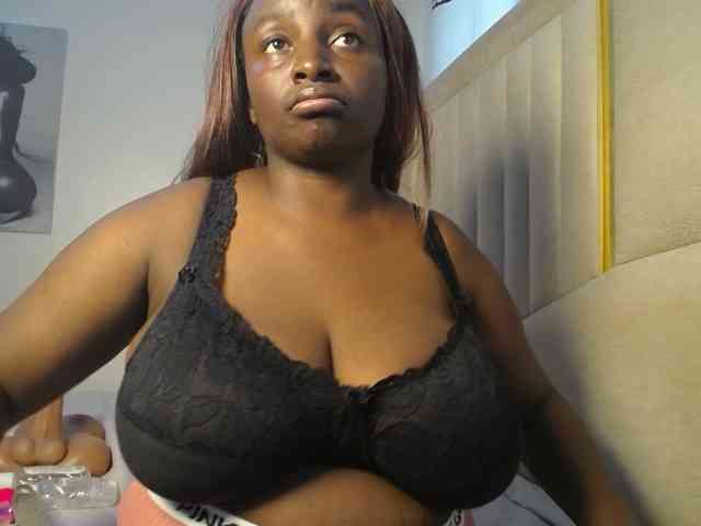 Dovecaren webcam