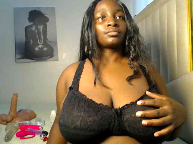 Dovecaren webcam