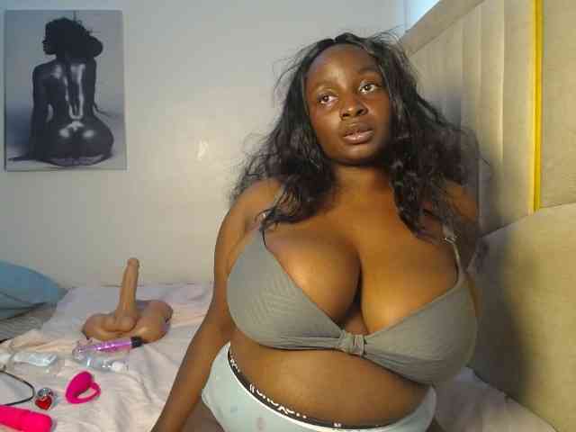 Dovecaren webcam