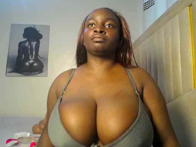 Dovecaren webcam