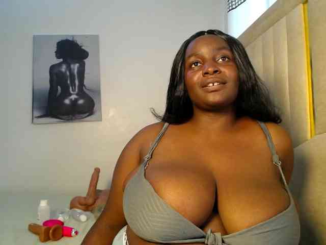 Dovecaren webcam