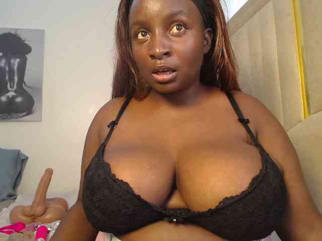 Dovecaren webcam