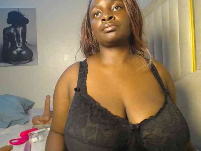 Dovecaren webcam