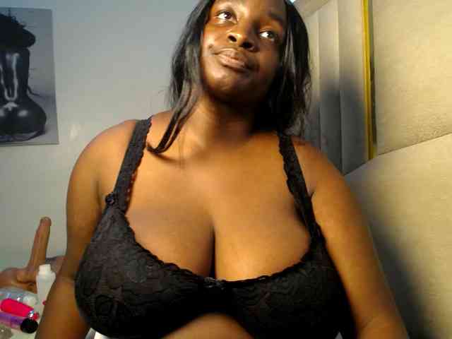 Dovecaren webcam