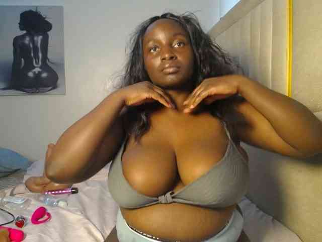 Dovecaren webcam