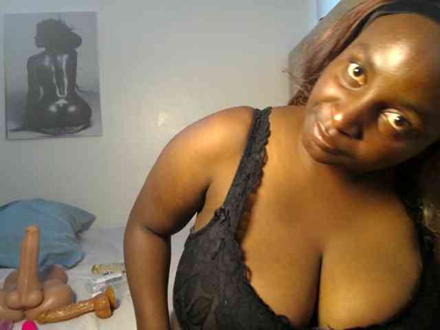 Dovecaren webcam