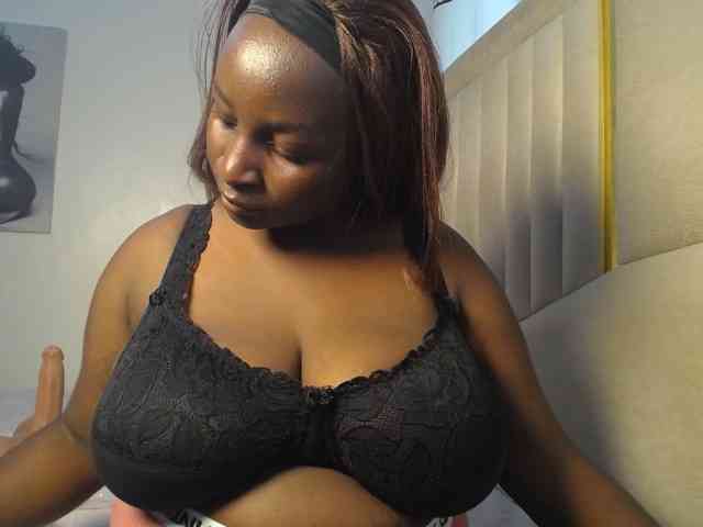 Dovecaren webcam
