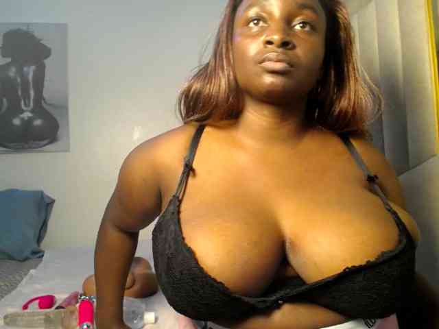Dovecaren webcam