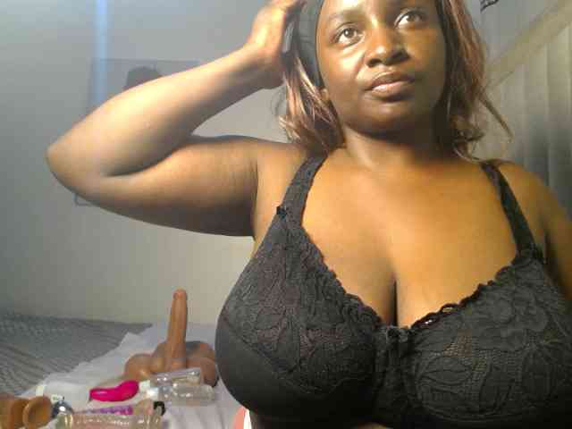 Dovecaren webcam
