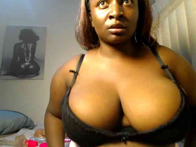 Dovecaren webcam