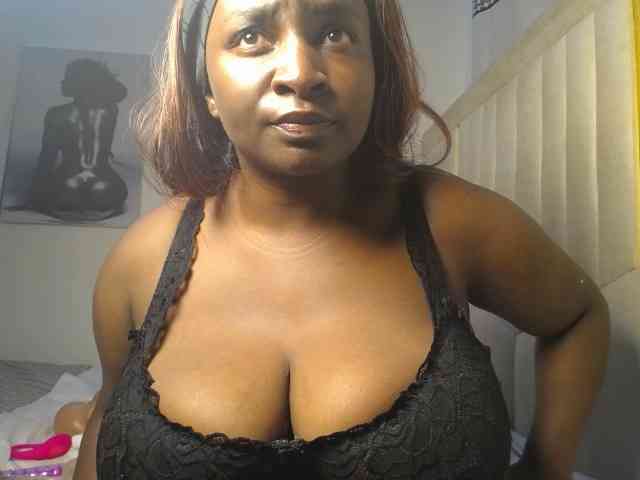 Dovecaren webcam