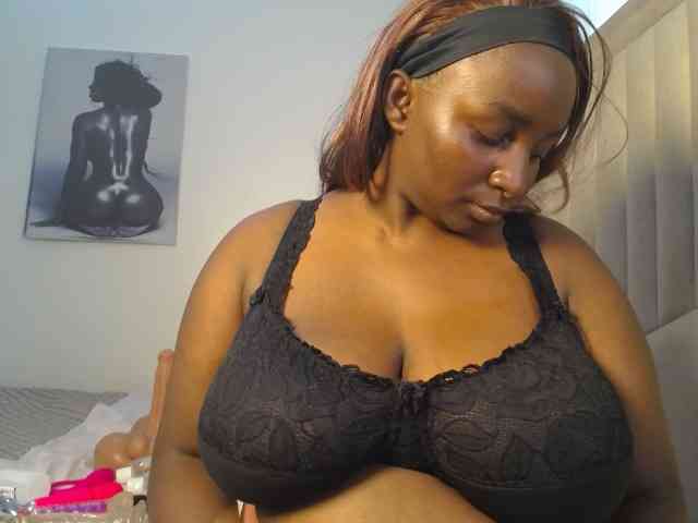 Dovecaren webcam